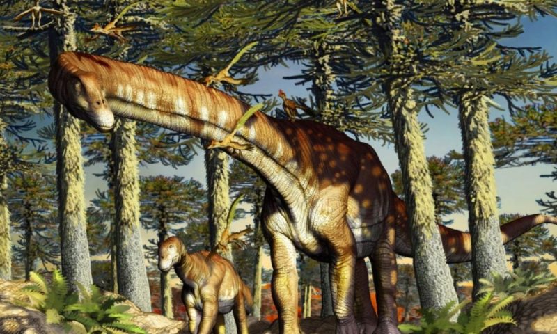 Un nuevo dinosaurio herbívoro de Patagonia allana el camino sobre el origen  de los gigantes de cuello largo – UMAI