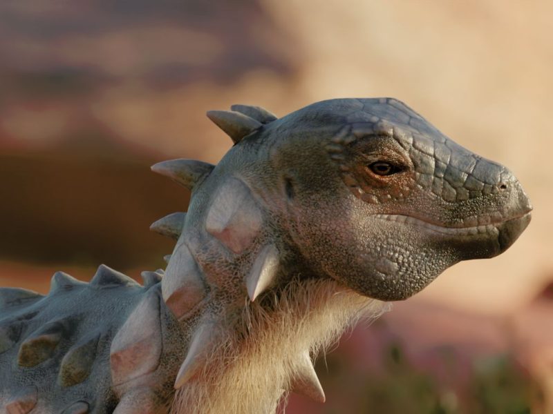 Un tanquecito a dos patas: el primer dinosaurio acorazado bípedo de  Sudamérica – UMAI