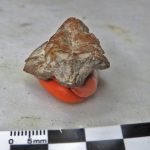 Rough mineral rock sample held on an orange glove with a millimeter scale nearby showing a gray rock with reddish brown patches