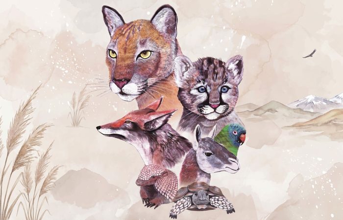 Watercolor collage of multiple animals (lioness, cheetah, fox, lynx, parrot) stacked together against a pale landscape backdrop.