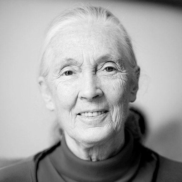 Close-up portrait of an elderly woman with gray hair smiling gently, wearing a dark turtleneck.