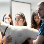 Group of people gently holding a large white dog indoors focused on the dogs back and body