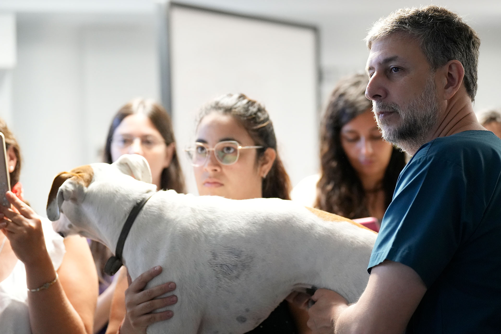 Group of people gently holding a large white dog indoors, focused on the dog’s back and body.