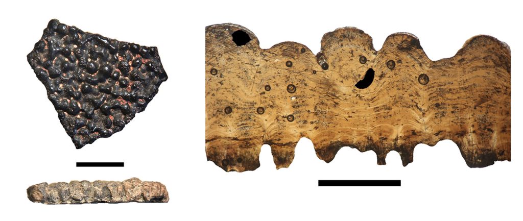 2026091618ConFernandoNovasFotointeriorEpigrafeFragmentosdecascaradehuevodetitanosauriohalladosenSantaCruzCreditoRoyalSocietyOpenScience UMAI Multiple fossil fragments on a white background a dark bumpy slab on the left a lighter elongated piece at the bottom and a large ribbed bone like fragment with circular holes on the right scale bars shown for reference