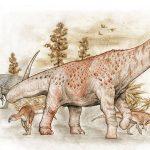 Sketch of several long necked sauropod dinosaurs walking in a prehistoric landscape with sparse vegetation and trees in the background rendered in sepia tones