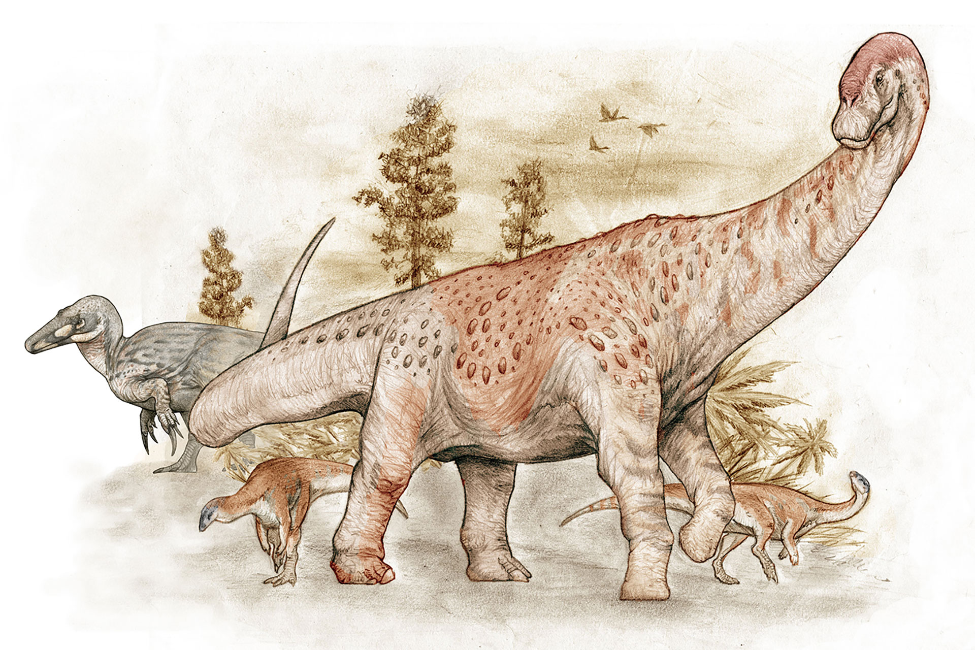 Sketch of several long-necked sauropod dinosaurs walking in a prehistoric landscape with sparse vegetation and trees in the background, rendered in sepia tones.