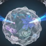 Sci fi illustration of a human cell with glowing organelles and a pair of robotic hands hovering above it suggesting artificial manipulation of cellular activity