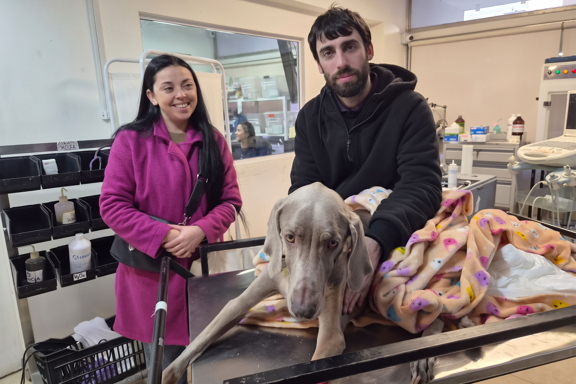 Smiling woman in a pink coat and a man with a large gray dog on a veterinary examination table, the dog wrapped in a colorful blanket inside a clinic.
