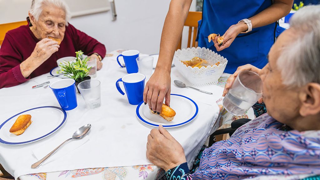 Establecimientos geriátricos. Nutrición, administración, gestión de la calidad