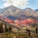 Música por el ambiente la música popular celebrará la biodiversidad argentina