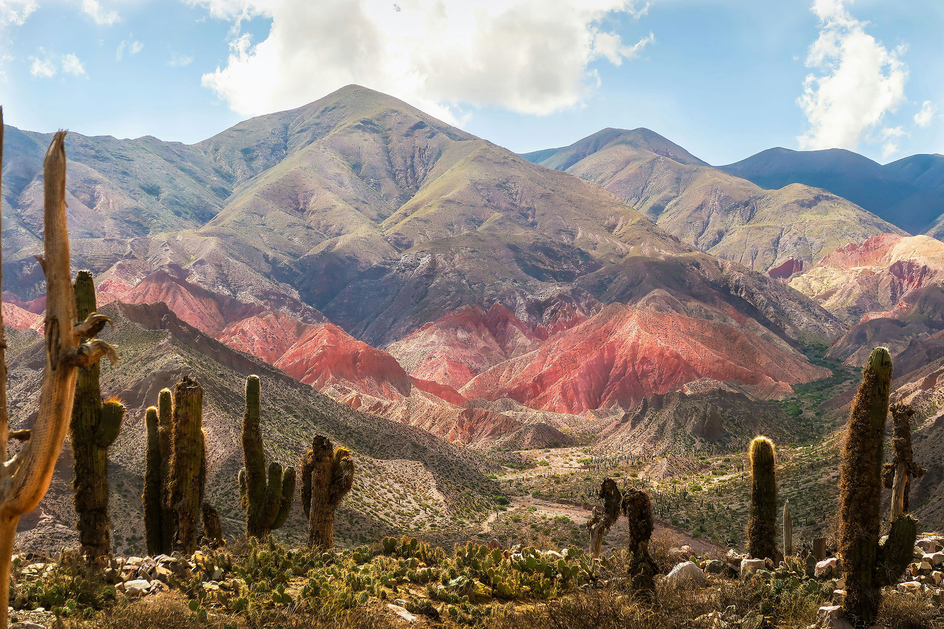 Música por el ambiente: la música popular celebrará la biodiversidad argentina
