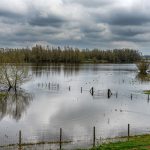 A más calor global menos personas sienten que les toca responder ante el clima
